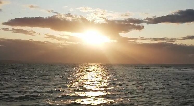 The sun is setting over the ocean, casting golden light on the water and creating a bright reflection, much like how workplace wellbeing wellness talks can illuminate new perspectives in our daily lives.