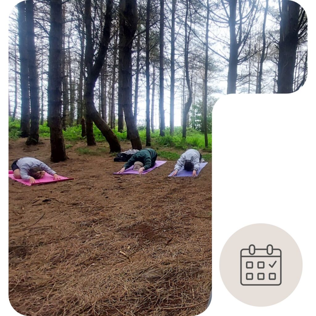 Three people practice yoga in Child's Pose on colourful mats in a quiet pine forest near Strandhill, surrounded by tall trees and a carpet of fallen pine needles. Soft natural light filters through the woodland, creating a peaceful and sheltered outdoor setting.