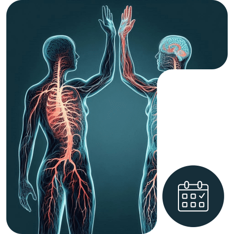 Two human figures giving a high-five, their nervous systems highlighted in red and blue. One figure’s brain is visible. A calendar icon with a check mark appears in the lower right corner.